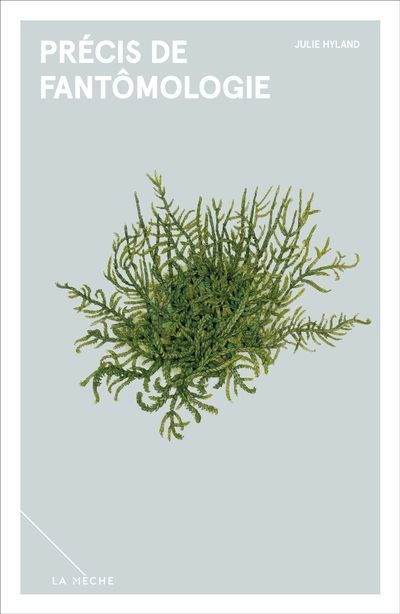 Précis de fantômologie