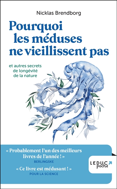 Pourquoi les méduses ne vieillissent pas